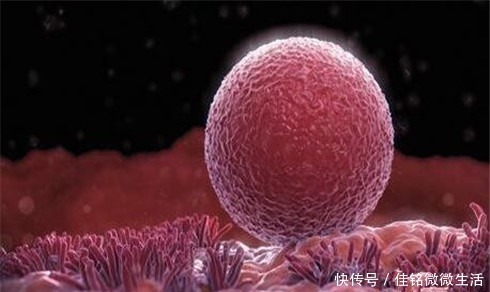 子宫内膜|女性身体若出现这几个现象时,可能不会排卵,备孕中夫妻最好了解!