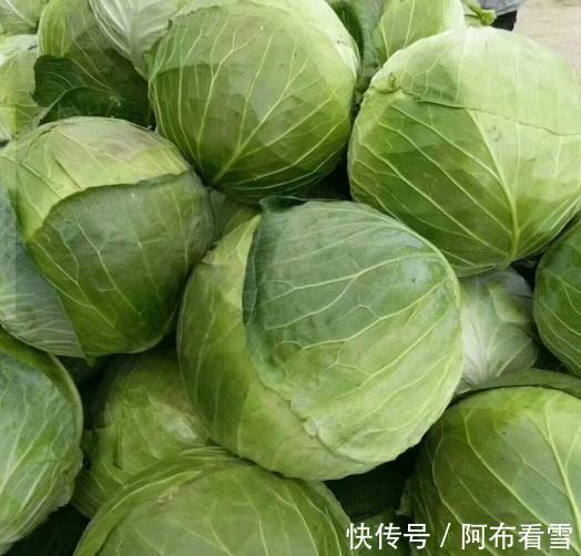 扁包菜和圆包菜有什么区别？其实口感差远了，以后别再傻傻的乱买