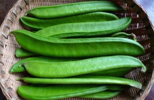 疏通性|天然“阿司匹林”已找到,坚持多吃点,血栓可能绕道走