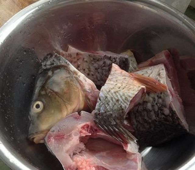 冬瓜|这鱼比牛羊肉还滋补，5块钱一斤无人买，清热祛湿，用来炖汤最好