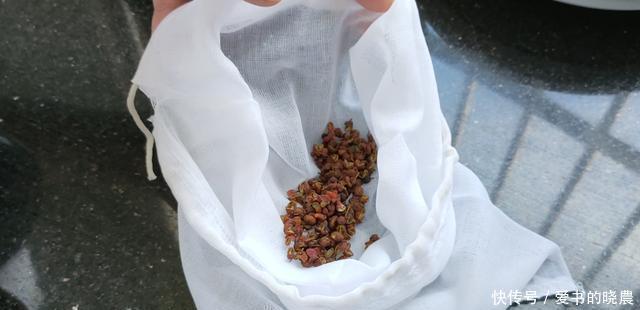 鸡汤|冬季别总喝鸡汤,试试这样煲一锅,营养高钙好喝,食材简单又便宜