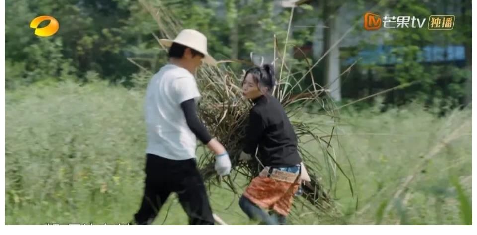 蝴蝶泉边|这位“过气”的超女,凭什么可以两度获得《向往的生活》的邀请