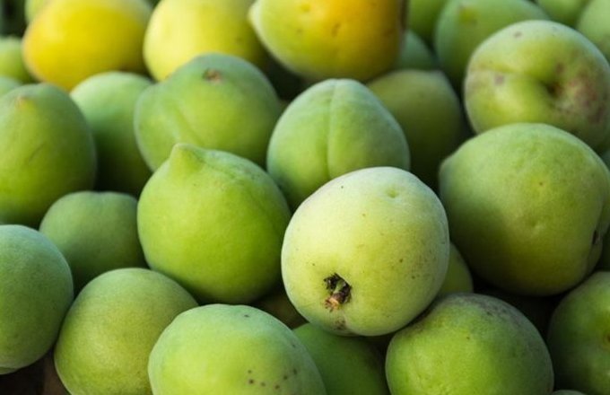 肝脏|女性睡觉前当零食吃几颗,一个月下来,肝脏干净了,还越来越年轻
