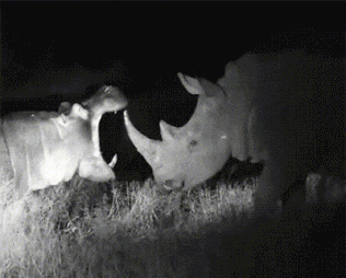 |史上最毒的10张搞笑gif动图太搞笑段子,不收藏就找不到了