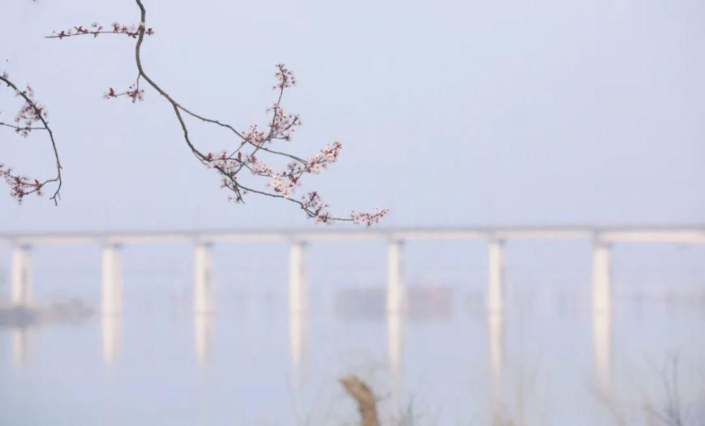 漫步春光里 遂宁 · 时光花境 春色如许