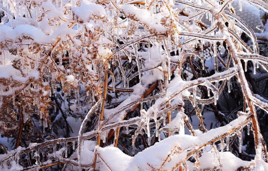 心间|净月潭的雪，美在山川，暖在心间！