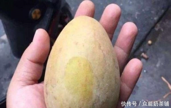 地球上的四种水果,你吃过一种,就可以吹一辈子