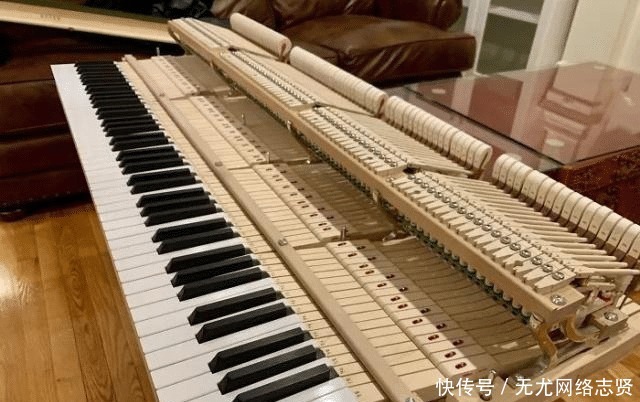 令人 22张“活久见”的照片,令人大开眼界!