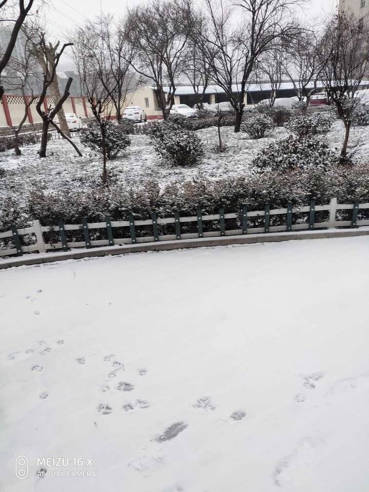 杨克汶|雪｜济南冬天的第二场雪