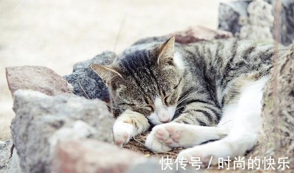 |搞笑段子:女友昨天第一次去我的家中拜访,吃饭时问我父亲的属相