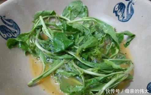 枸杞子叶|宁愿少吃肉也要多吃它，6元1斤，大补肝肾明眸双眼，冬季多吃好