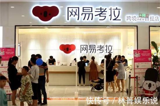 网易养不起“考拉”，阿里拼多多急剁手，网友丁磊全职养猪