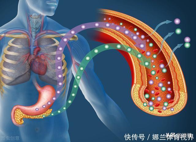 患上2型糖尿病就是终生病，不可能会逆转？错！本文辟谣讲出实情