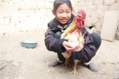 父权制|因弟弟摔倒，6岁女孩被奶奶一脚踹翻，昏迷前还哭着“要抱抱”