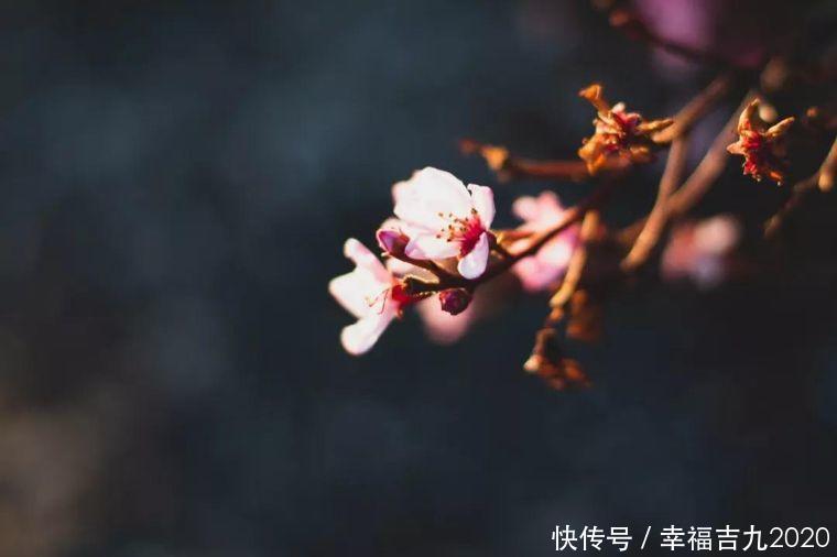 一位南宋文坛巨匠的素食观:这是一种养生妙法