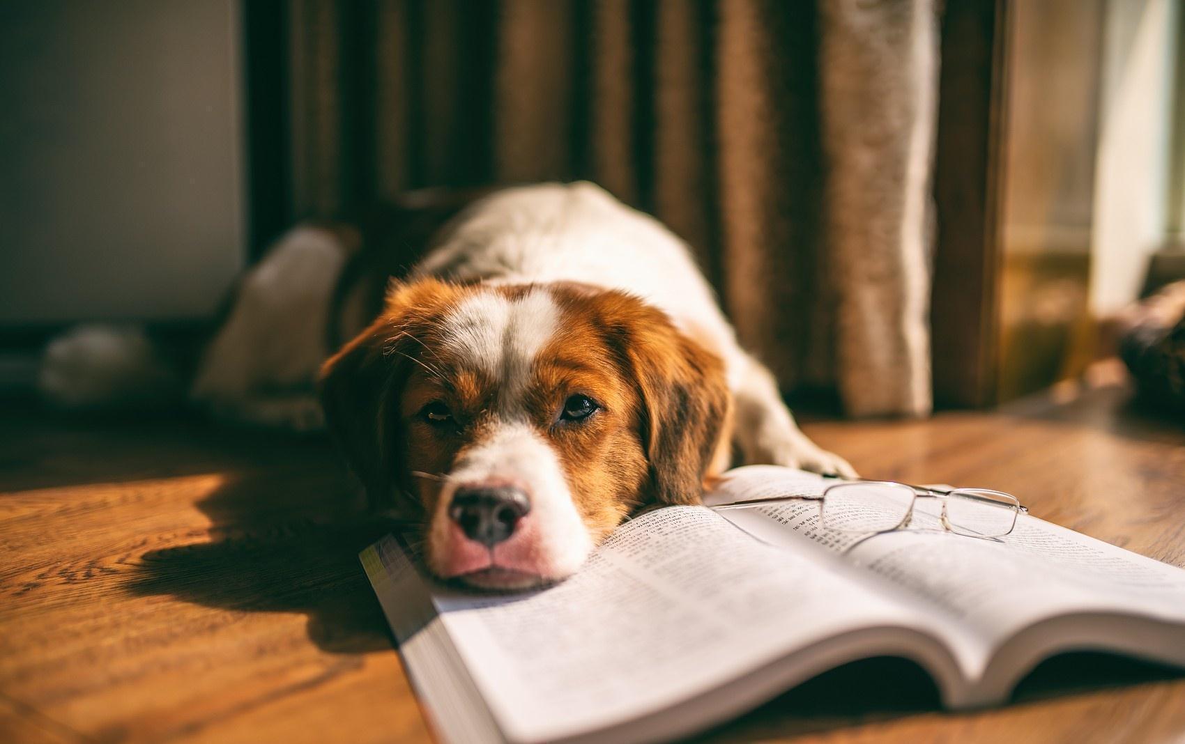 睫状肌|都是一起长大的孩子,为什么就你家的孩子近视了?