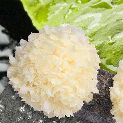 强身健体|女人不要嫌这几种食物丑，每天吃点帮助身体排毒，皮肤水嫩还红润