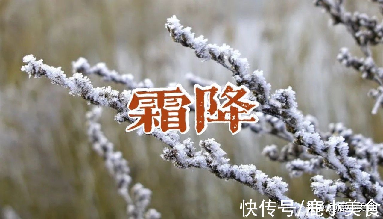 食物|霜降前后，该吃“3白3绿2红2黑”食物了，顺应时节，家人健康迎冬