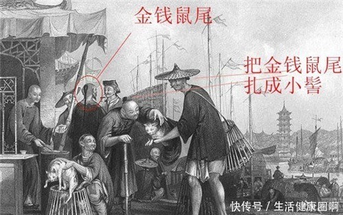 不想|清朝人的“辫子”有多脏英国女记者吐了,此生不想再闻第二次