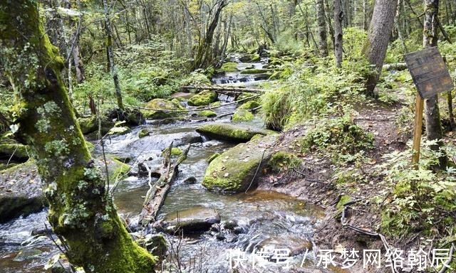 伊春市|亿万年的精雕细琢，造就了这处奇岩怪石，汤旺河林海奇石