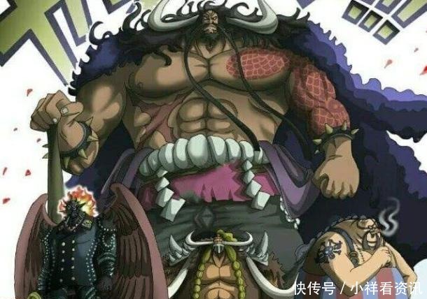 等级就|海贼王为了保护船长路飞，索隆再次负伤，真打是什么水平的战力