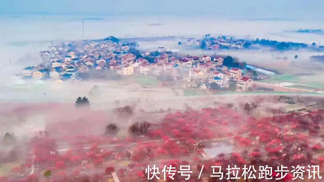 半程马拉松|倒计时2天!2022年首场金牌马拉松新闻发布会及报名即将开启!