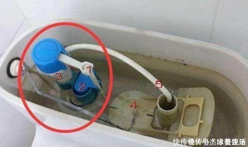 冲刷|卫生间马桶上面的两个按钮,估计多数人都不知道它的真正用途!