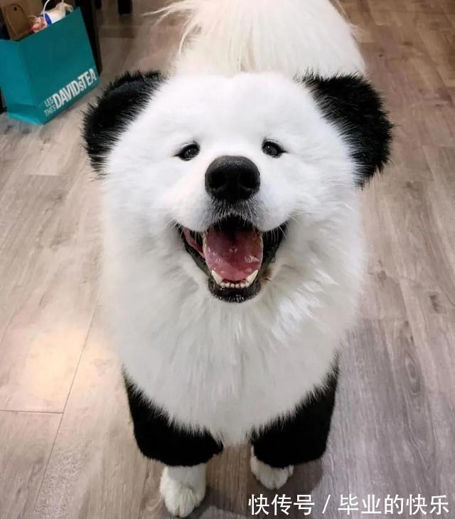 |搞笑图集:你们公司中秋发了啥?网友:发了个通知,说不放假