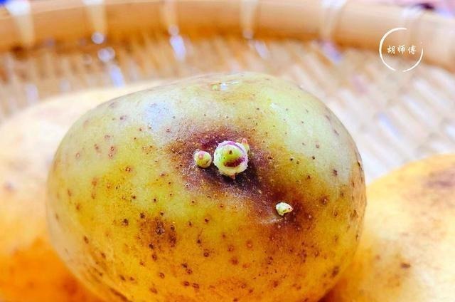 发芽的土豆到底能不能吃?原来我们一直都弄错了,看完后涨知识了