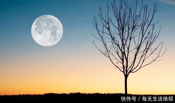 辞藻|纳兰容若写的一首中秋词,优美华丽的辞藻,也无法掩住无尽的幽怨