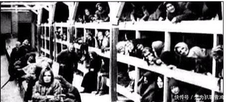 真的|二战时期德国真的守军纪吗?看看德国设置的慰安所