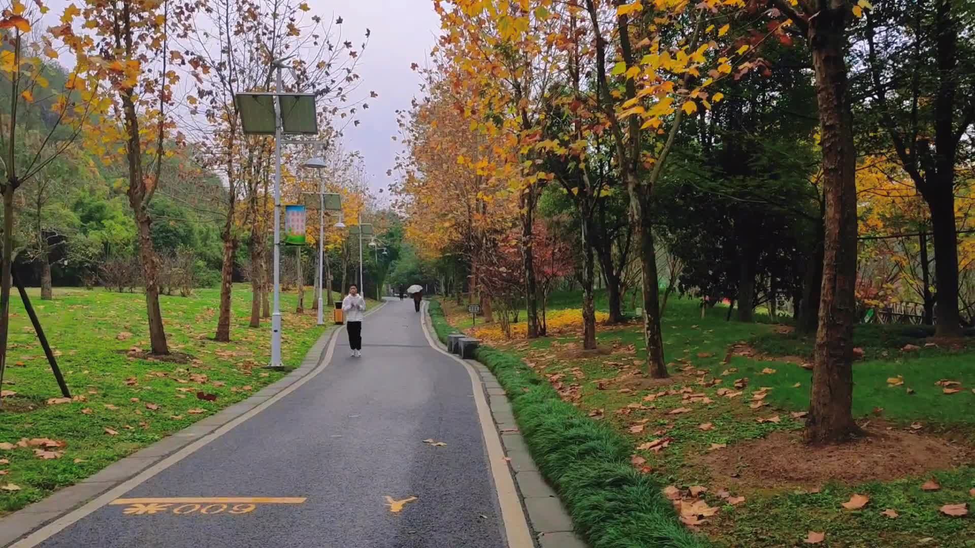 骑自行车|【穷游贵阳】十里河滩：让美景和闲适撞个满怀