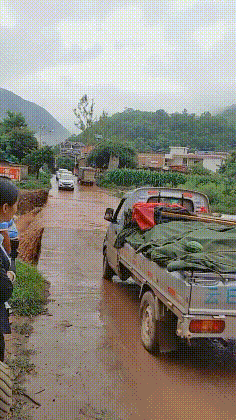 |搞笑GIF:这或许才是种西瓜的真谛,只生产西瓜子