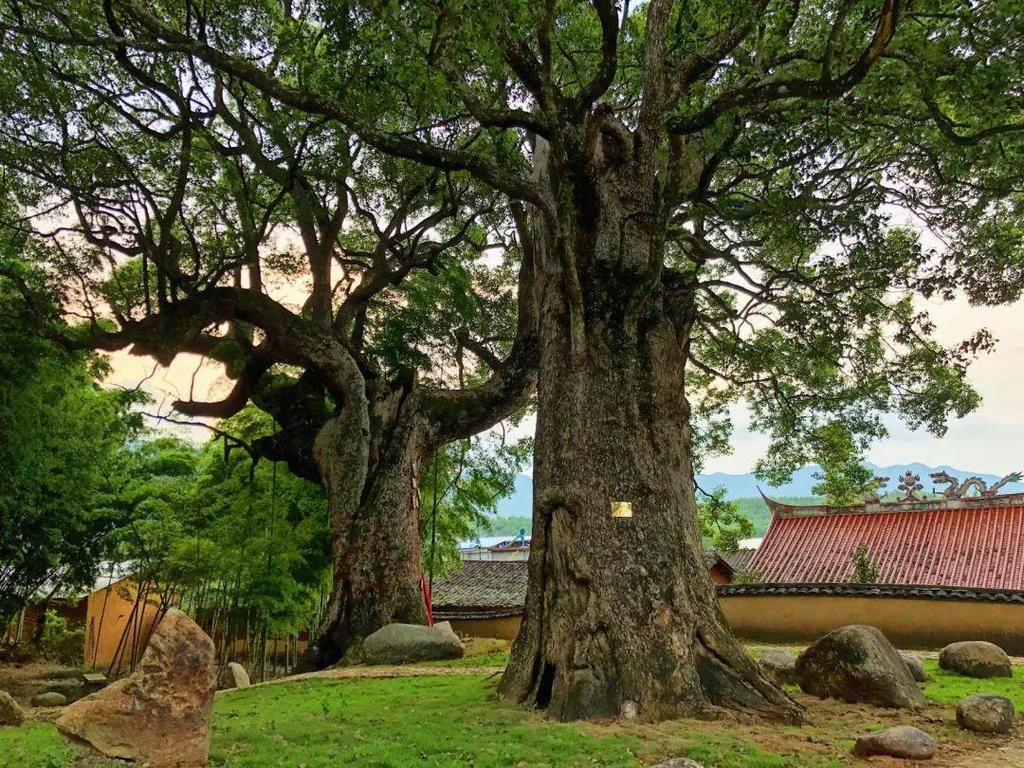 福建省最美休闲乡村——三明清流县南山村