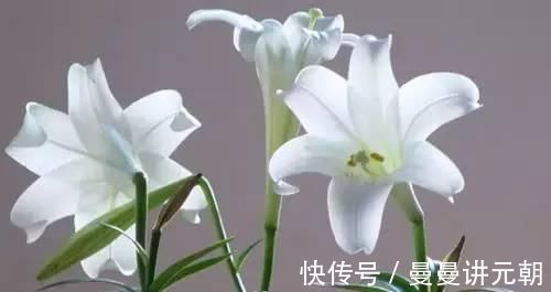 碱性食物|女性不想被叫“老女人”,多吃5种食物,补血养颜,越吃越年轻