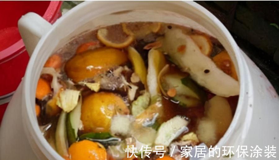 花肥不用买,在家自己做,“垃圾”桶里泡一泡,浇花大爆棚