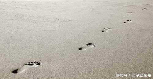 小心!警惕!“中国拥有世界上唯一完整工业体系”的谎言