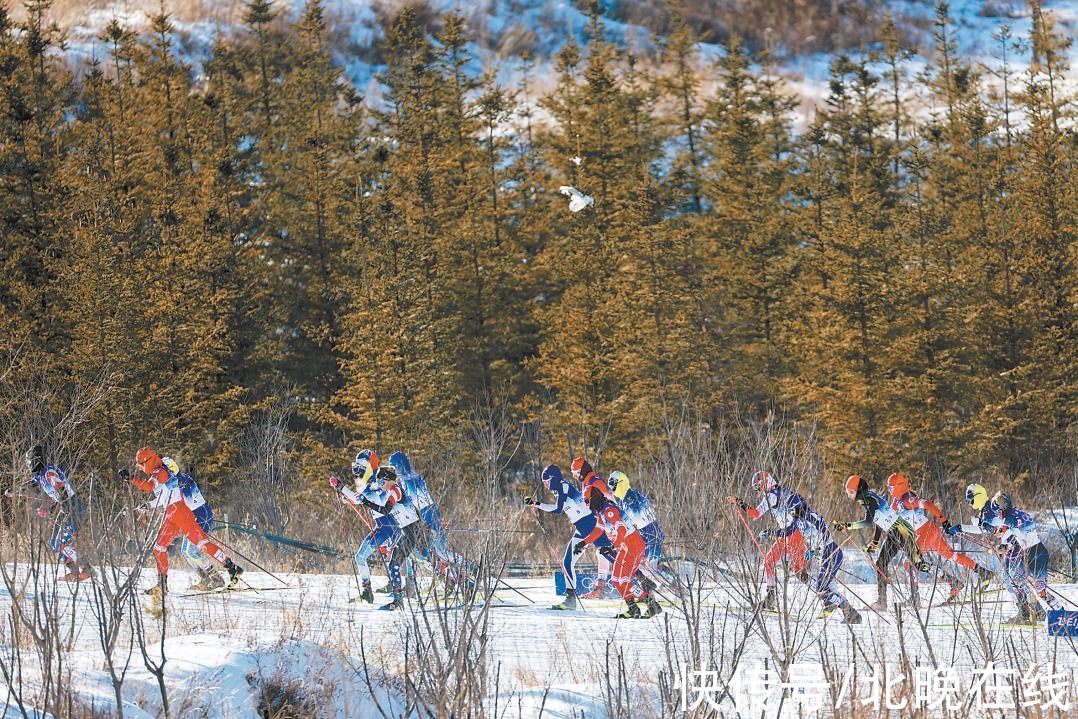 陈佳佳|“辨雪仪”一眼辨别四种雪状