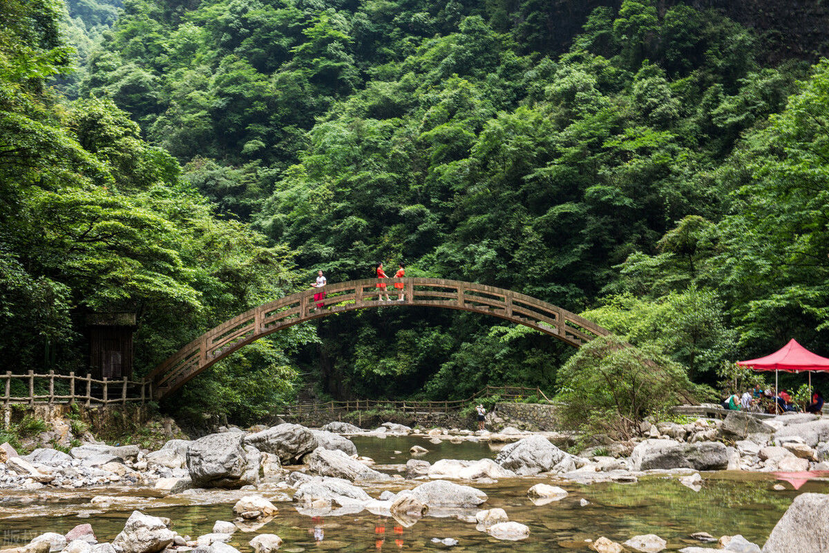 蜀南竹海|国内值得一去的5处竹海，大自然的电冰箱，度假避暑的好去处