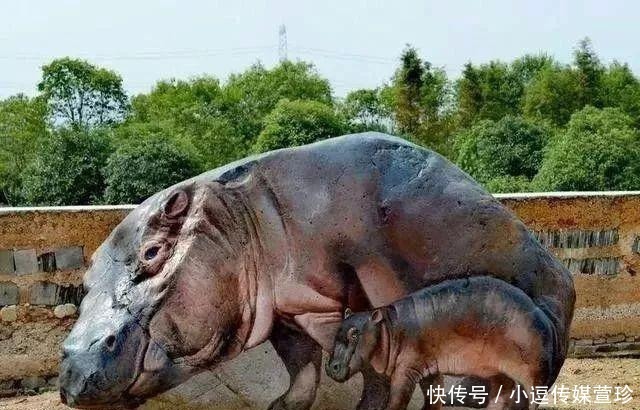 每块|还在疯狂的收藏奇石?只要给石头赋予“灵魂”,每块石头都是奇石