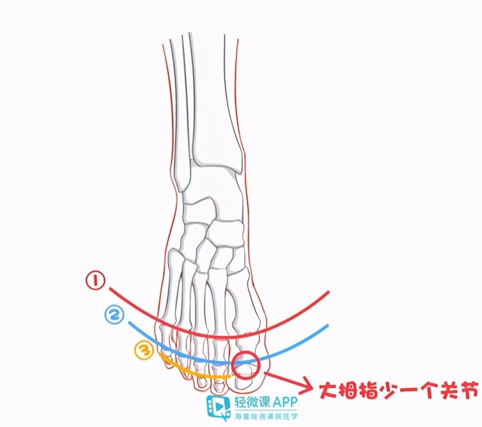  动漫插画人物脚部结|脚老是画不对？那是你不懂脚的结构该怎么画！