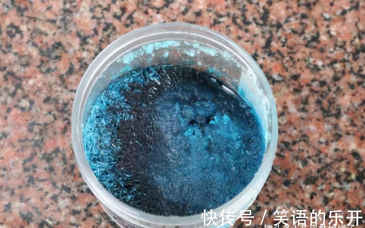 5个养花的基础技能，只有熟练的掌握和灵活的运用，才能养出好花