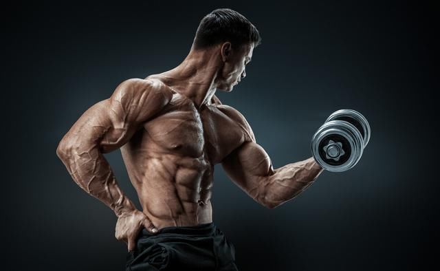 肌肉群|为什么要多做力量训练？看完这4个原因，你或许就可以明白了