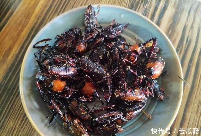 竹象|靠吃竹笋长大，儿时一抓十几只，火一烤就能吃，如今养殖2元一只