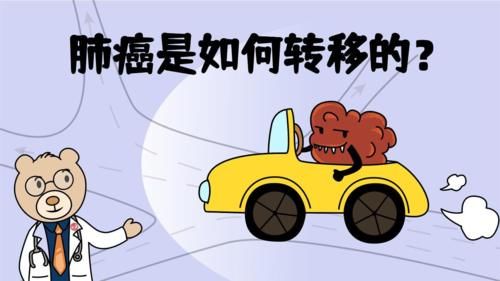 肺癌是如何转移的？