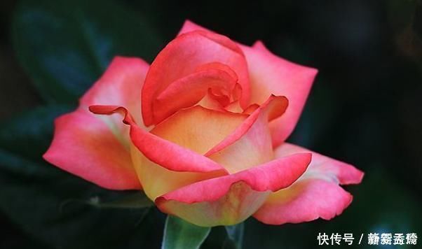 笑面虎|老祖宗说“奸者不离三”,小人身上的3个特点,早明白早防备