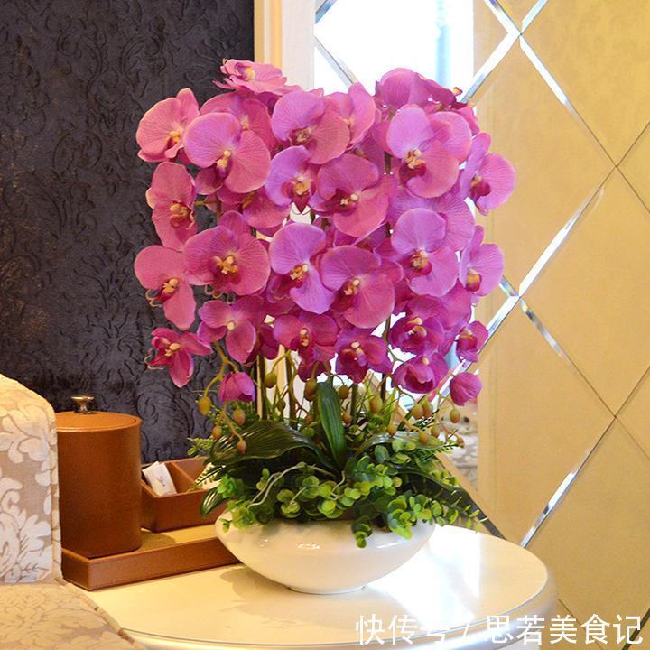 6种“洋气花”,厕所里养的旺,臭味吸光,卫生间变小花园