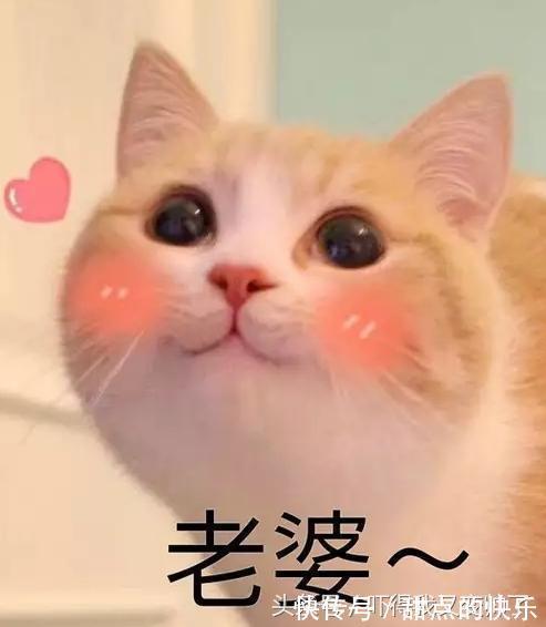 |幽默段子:我和老婆已经结婚十多年了,有一个五岁的闺女