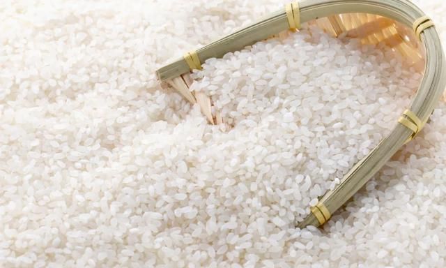 为啥大米总是凭空生虫子？这些虫子从哪里来？会传染疾病吗？