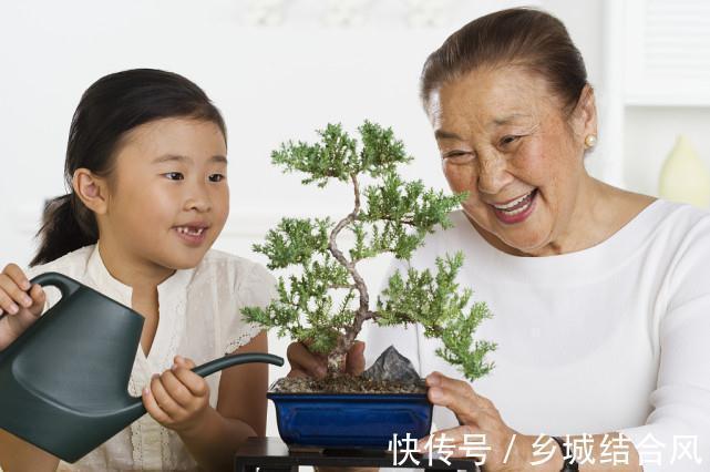 植物|养花3年都没学会浇水，看了这篇文章，1分钟学会